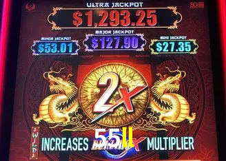 A Emoção da Loteria na 55ll: Uma Chance de Mudança de Vida